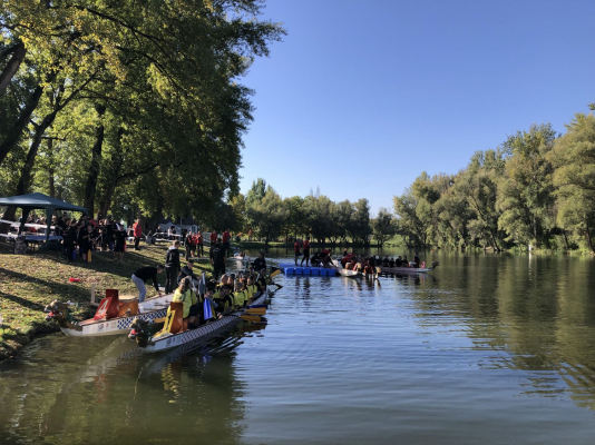 Győri Sárkányhajó Fesztivál